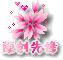 原创先锋